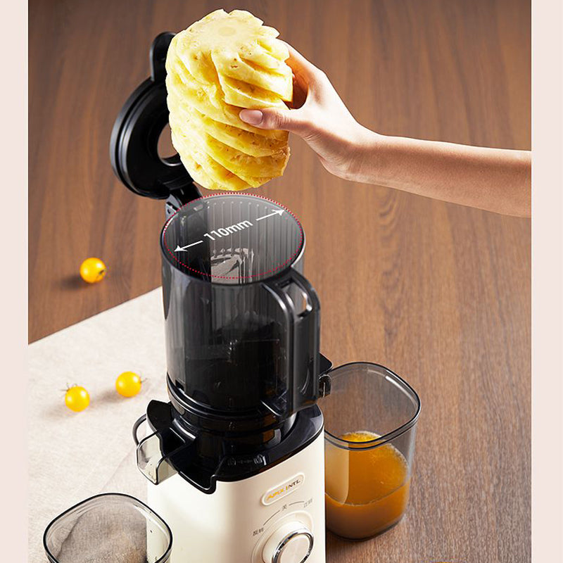 1200ml Wide Mouth Slow Juicer - Quiet Masticating - Whole Fruit & Veggie Extraction